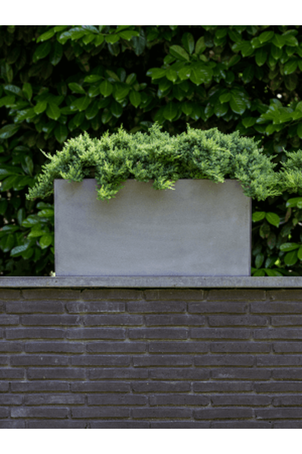 Fiberstone Jort S Grey