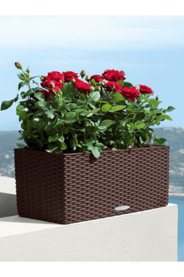 Lechuza Balconera Cottage 50 Set Tout Inclus Moka