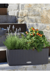 Lechuza Balconera Cottage 50 Set Tout Inclus Granit