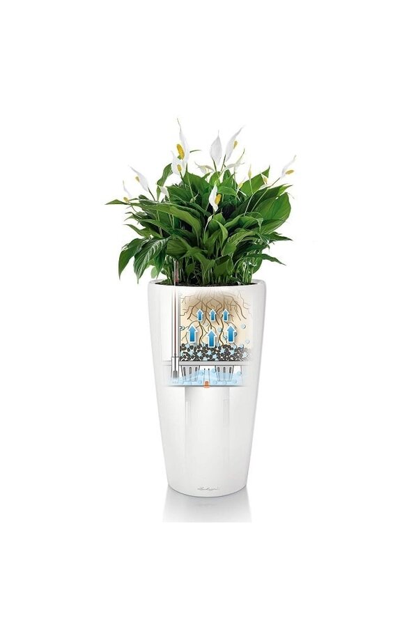 Rond Set Tout Inclus M