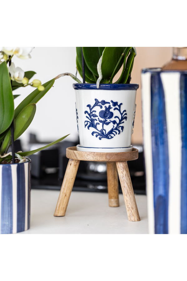 Orchidée blanche Amabilis + pot décoratif Malaga bleu