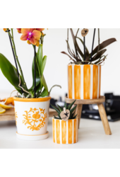 Oranje Phalaenopsis orchidee - Jamaica + Painted Stripe pot oranje