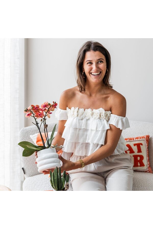 Orchidée Phalaenopsis orange - Mineral Bolzano + pot Bubble blanc