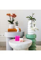 Orchidée Phalaenopsis orange - Mineral Bolzano + pot Bubble blanc