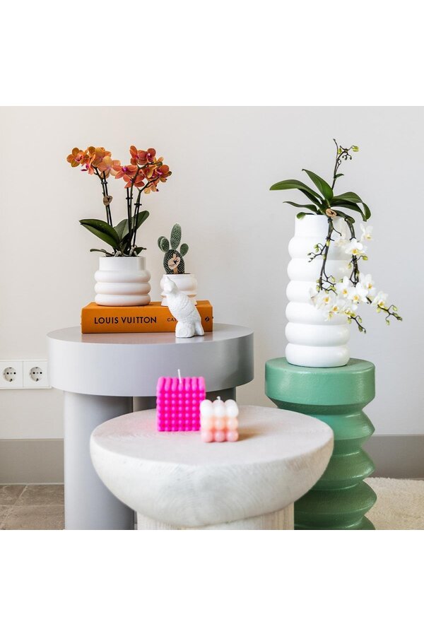 Orchidée Phalaenopsis orange - Mineral Bolzano + pot Bubble blanc