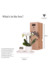 Plantenset Slow Living small