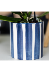 Set van witte Phalaenopsis orchidee