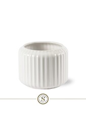 Anthurium Roja dans Bologna White