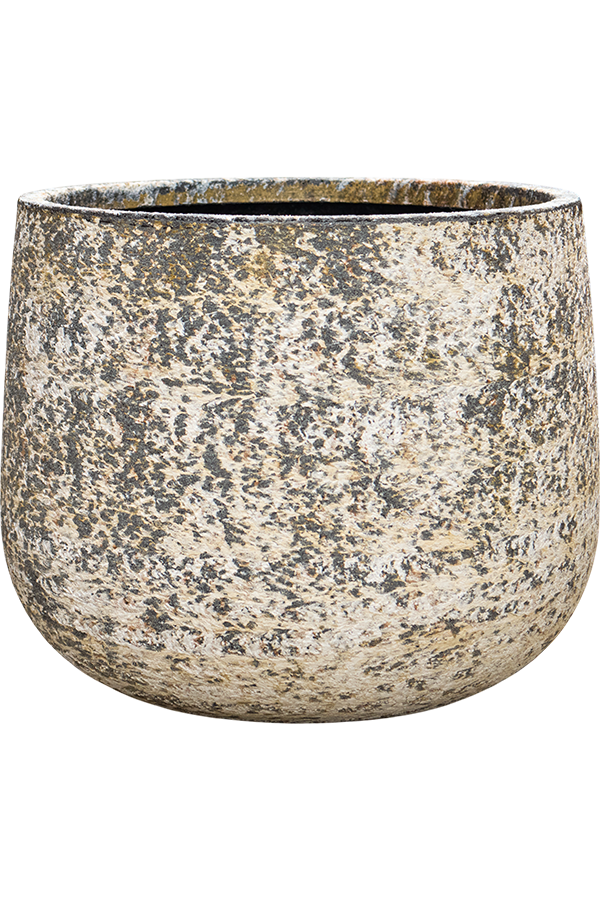 Baq Atlas Darcy White