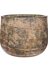 Baq Atlas Darcy Brown