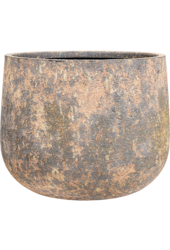 Baq Atlas Darcy Brown