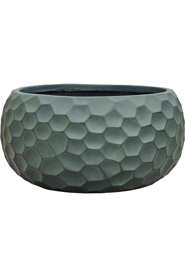 Baq Tortuga Globe Forest Green