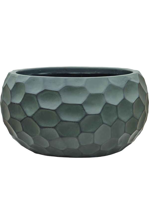 Baq Tortuga Globe Forest Green