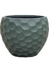 Baq Tortuga Couple Forest Green