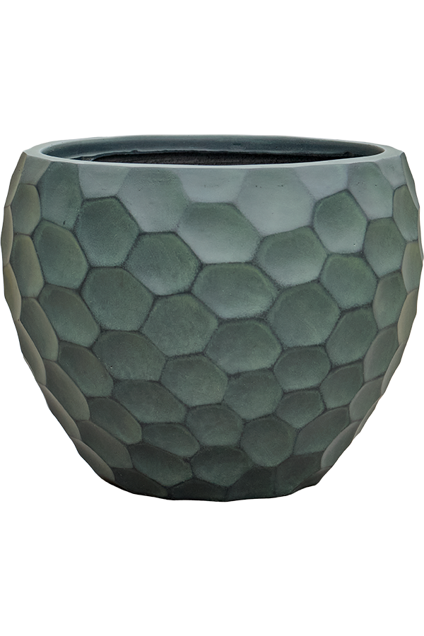 Baq Tortuga Couple Forest Green