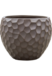 Baq Tortuga Couple Chocolate Brown