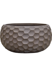 Baq Tortuga Globe Chocolate Brown