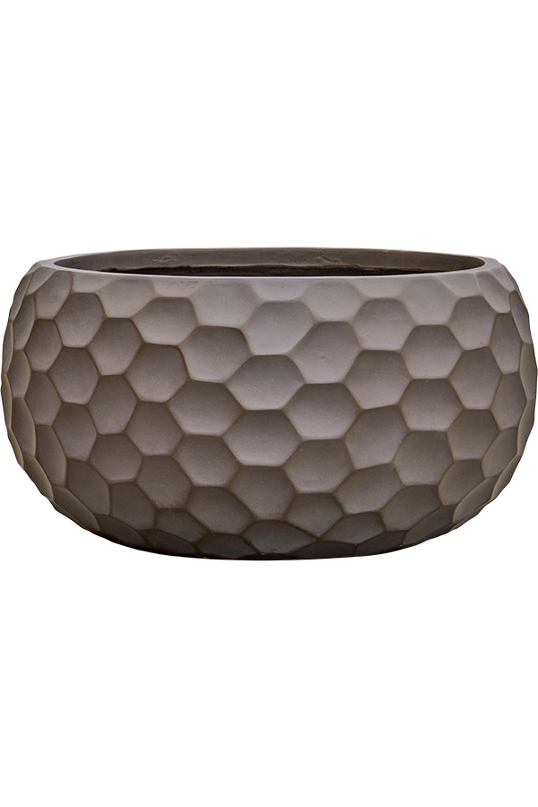 Baq Tortuga Globe Brun Chocolat