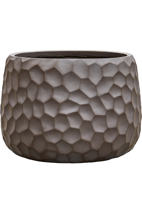 Baq Tortuga Darcy Marron Chocolat