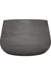 Baq Algar Darcy Grey