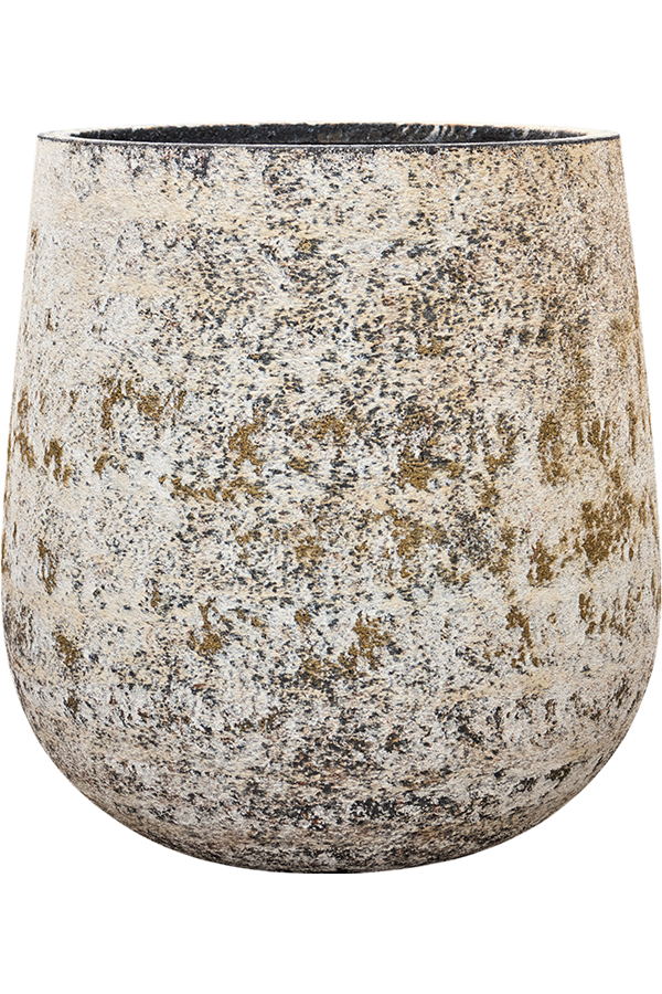 Baq Atlas Darcy Blanc Haut