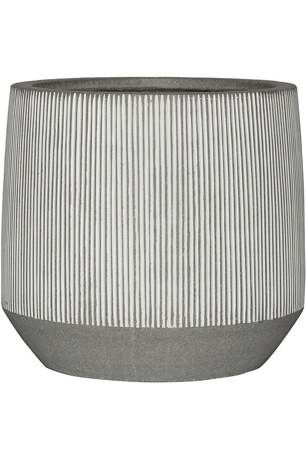 Ridged Harith M, White Stripe