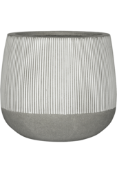 Pax M nervuré, Bande blanche