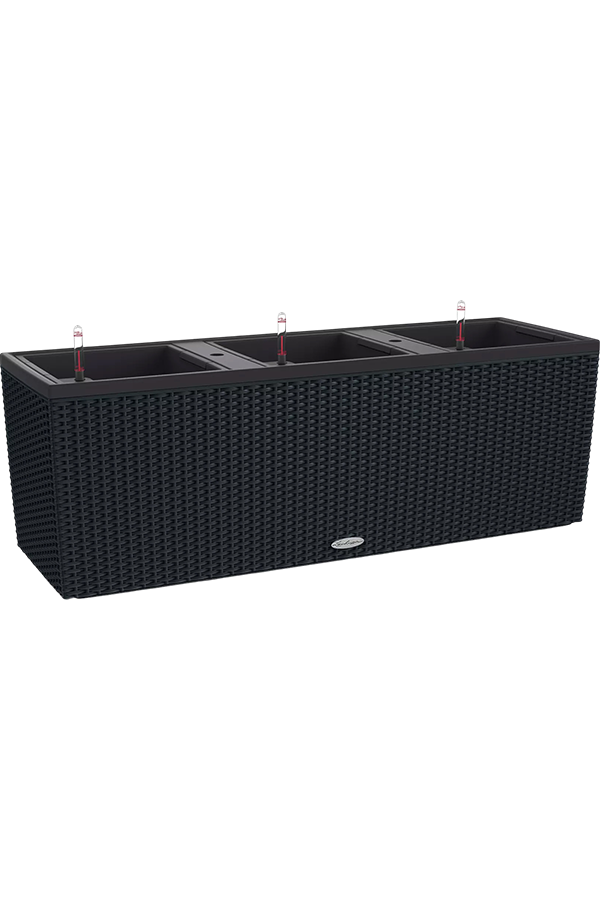 Lechuza Trio Cottage 30 Set Tout Inclus Noir Graphite