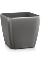 Lechuza Quadro Anthracite