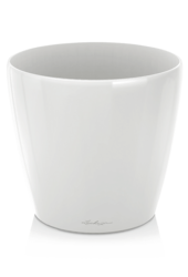 Lechuza Classico Blanc Brillant