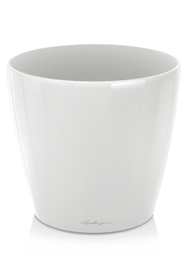 Lechuza Classico Blanc Brillant