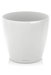 Lechuza Classico Blanc Brillant