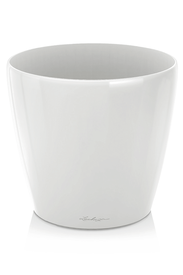Lechuza Classico Blanc Brillant