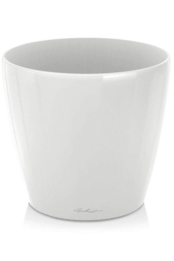 Lechuza Classico Blanc Brillant