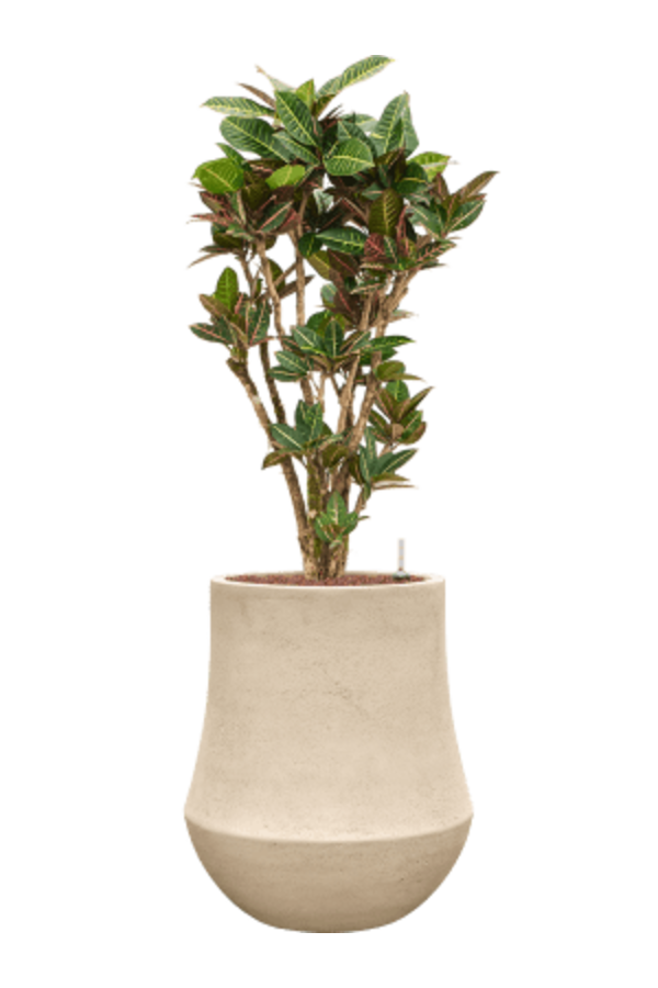 Baq Revêtu de Polystone Uni Darcy Naturel