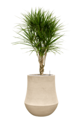 Baq Revêtu de Polystone Uni Darcy Naturel