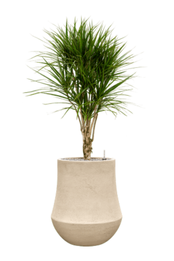 Baq Revêtu de Polystone Uni Darcy Naturel