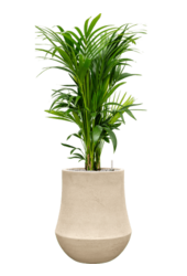 Baq Revêtu de Polystone Uni Darcy Naturel