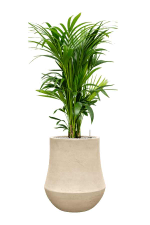 Baq Revêtu de Polystone Uni Darcy Naturel