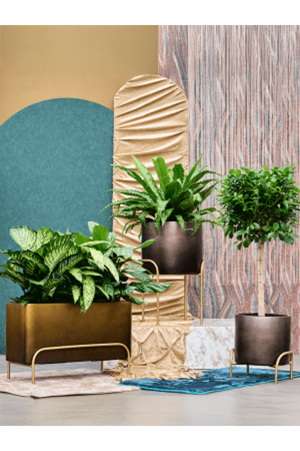 Baq Cylindre Surélevé Dégradé Très Mat Miel ( + pied)