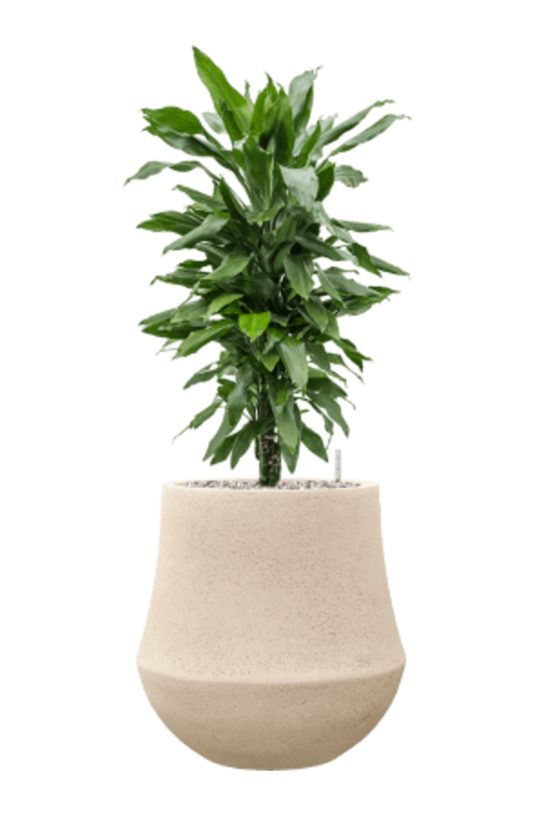 Baq Revêtu de Polystone Uni Darcy Naturel