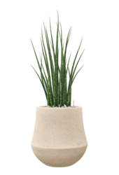 Baq Revêtu de Polystone Uni Darcy Naturel