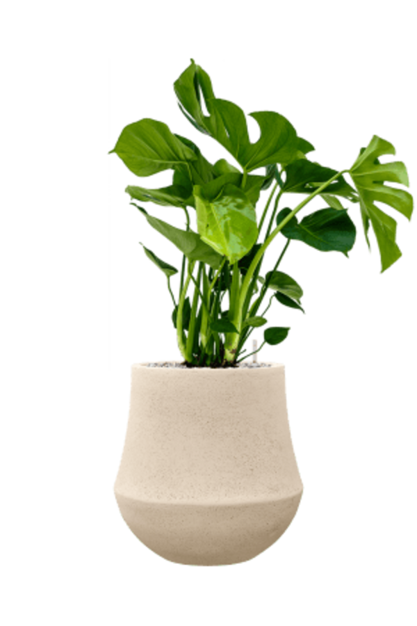 Baq Revêtu de Polystone Uni Darcy Naturel