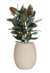 Baq Polystone Coated Plain Balloon Natural (met inzetbak)