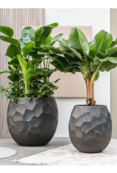 Baq Polystone Nathan James Ballon Étain Champagne