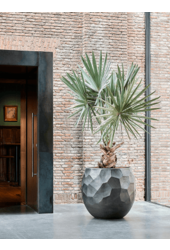 Baq Polystone Nathan James Ballon Étain Champagne