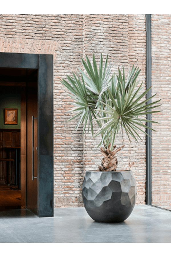 Baq Polystone Nathan James Ballon Étain Champagne