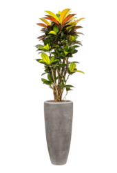 Baq Polystone Uni Partner Gris (avec bac intérieur)