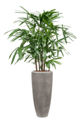 Baq Polystone Plain Partner Grey (met inzetbak)