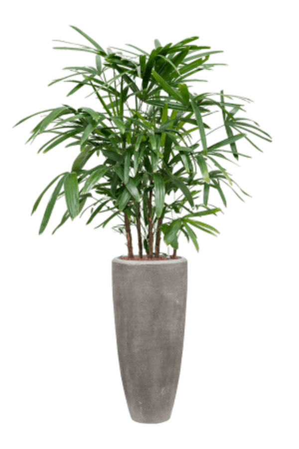 Baq Polystone Plain Partner Grey (met inzetbak)